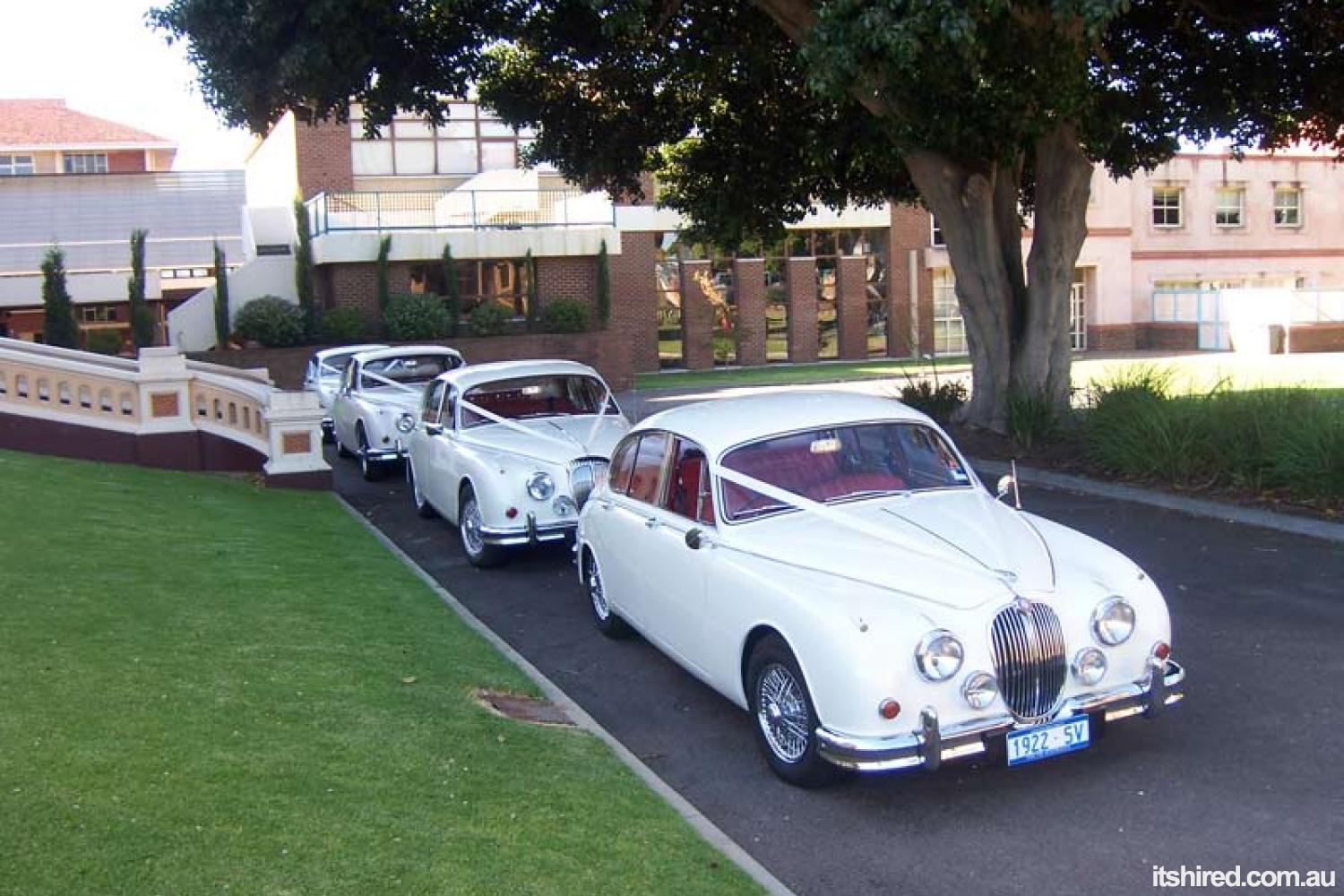 Jaguar Mark II Wedding Car Hire Adelaide Jaguar Classic Hire