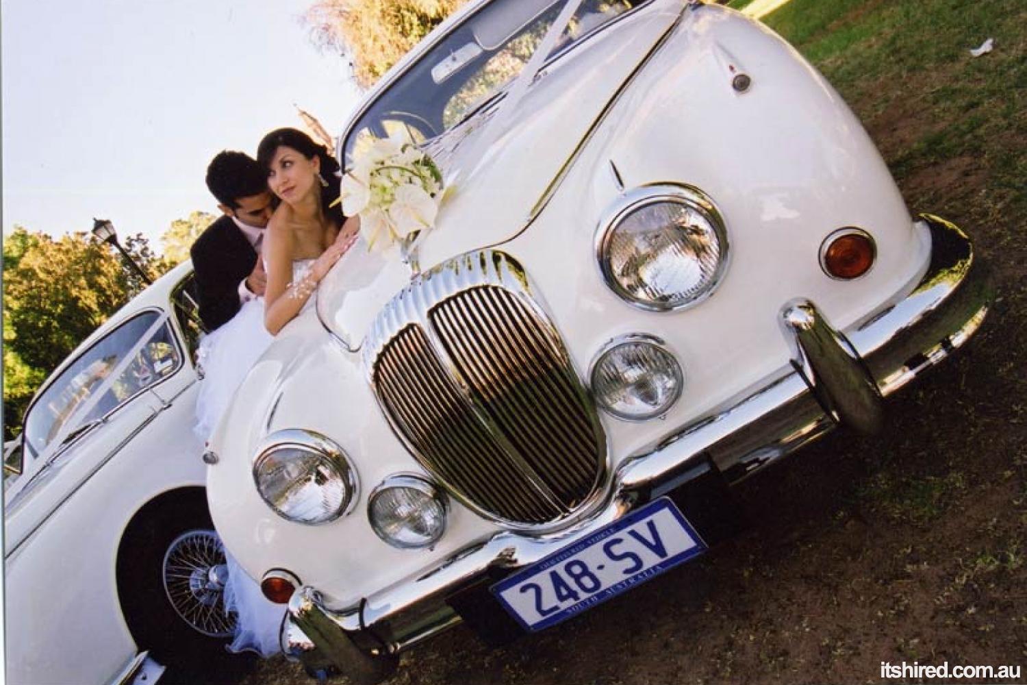 Jaguar Mark II Wedding Car Hire Adelaide Jaguar Classic Hire
