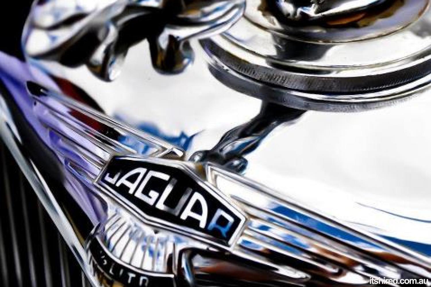 Jaguar Mark V Wedding Car Hire Adelaide Jaguars With Grace