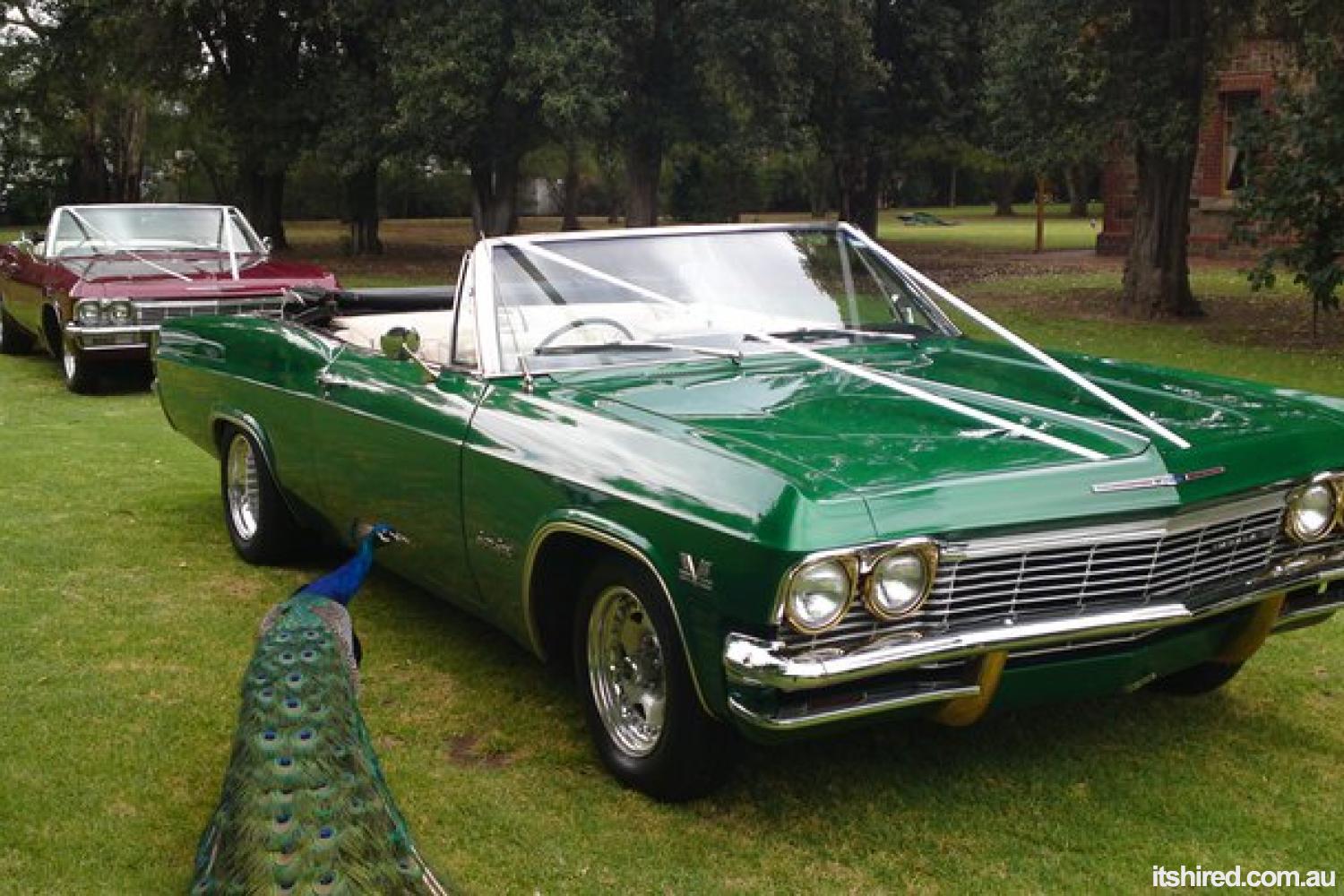 Chevrolet Impala Wedding Car Hire Adelaide Impressive Impalas