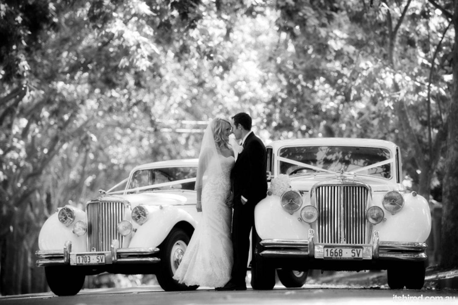 Jaguar Mark V Wedding Car Hire Adelaide Jaguars With Grace
