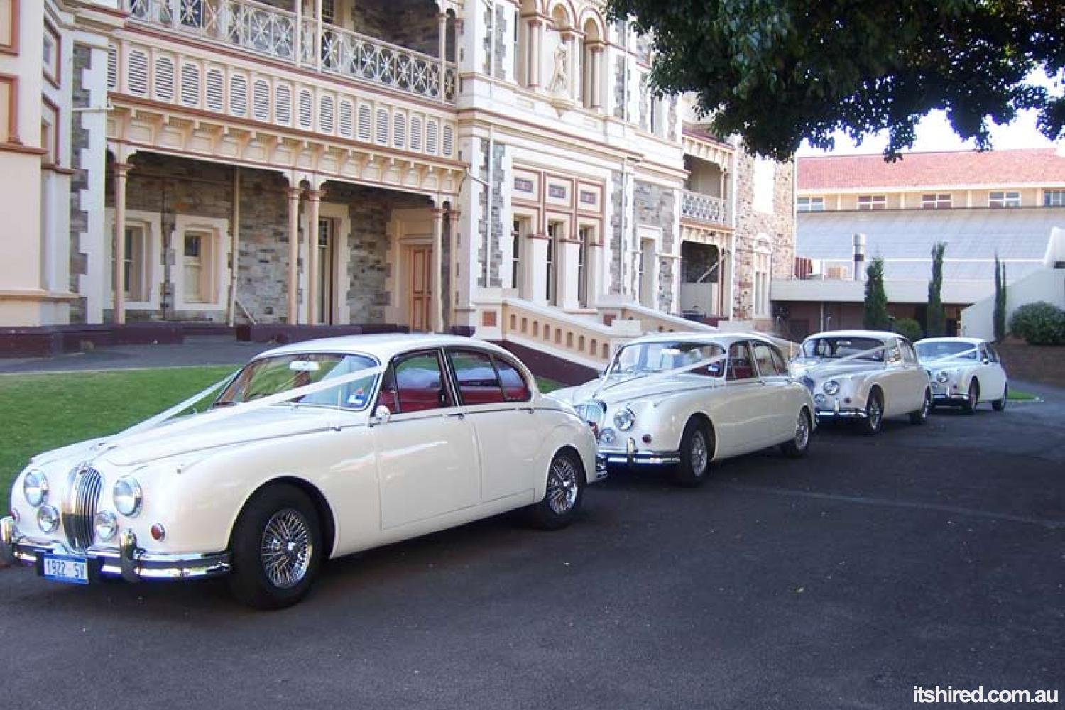 Jaguar Mark II Wedding Car Hire Adelaide Jaguar Classic Hire