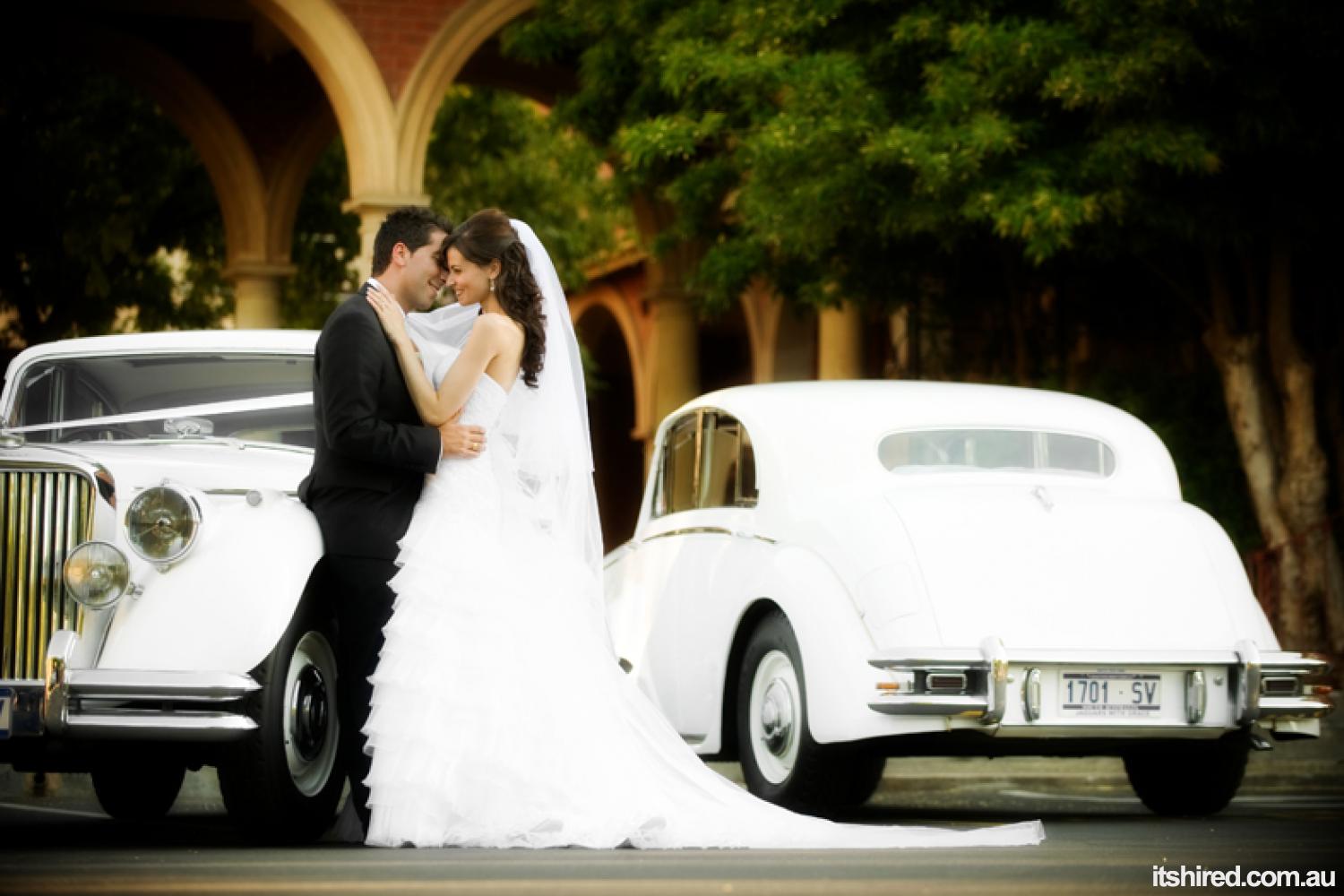 Jaguar Mark V Wedding Car Hire Adelaide Jaguars With Grace