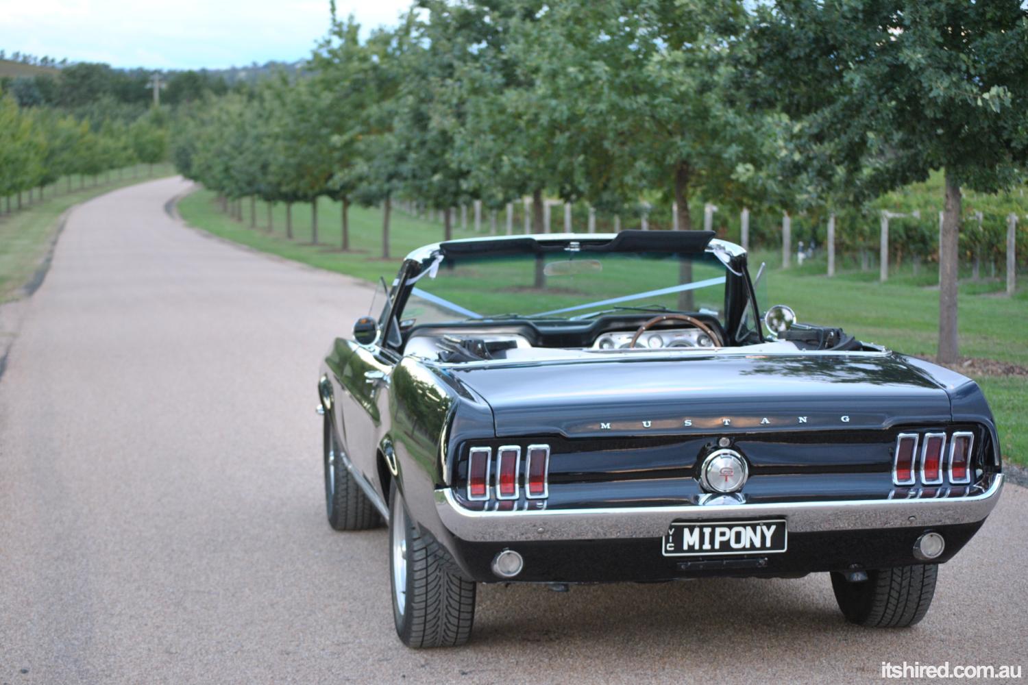 Ford Mustang Wedding Car Hire Melbourne Mustangs In Black