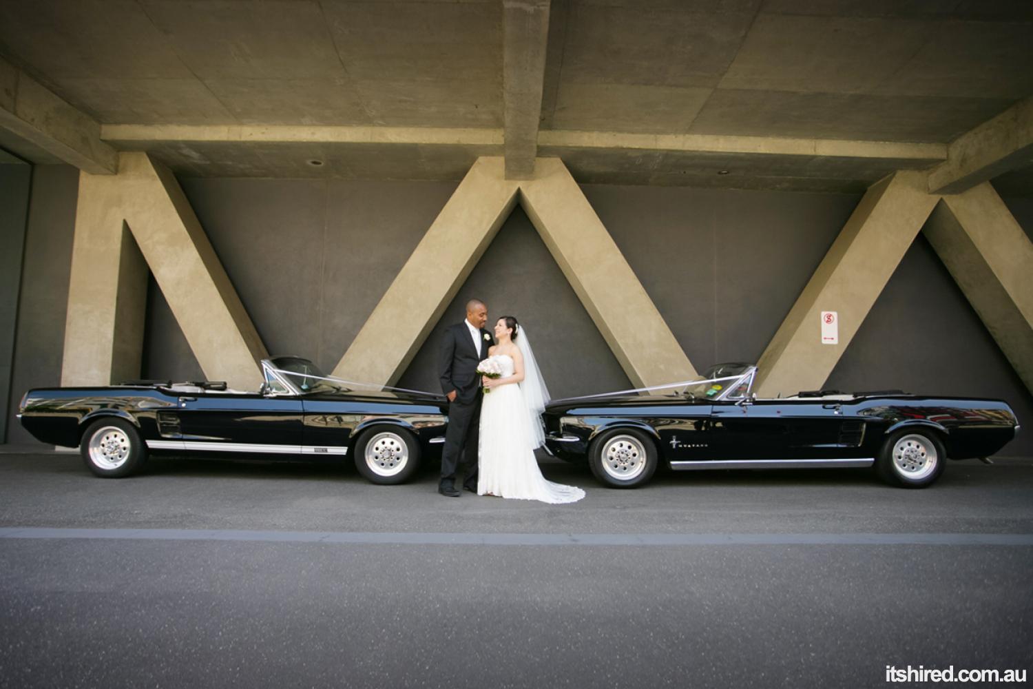 Ford Mustang Wedding Car Hire Melbourne Mustangs In Black