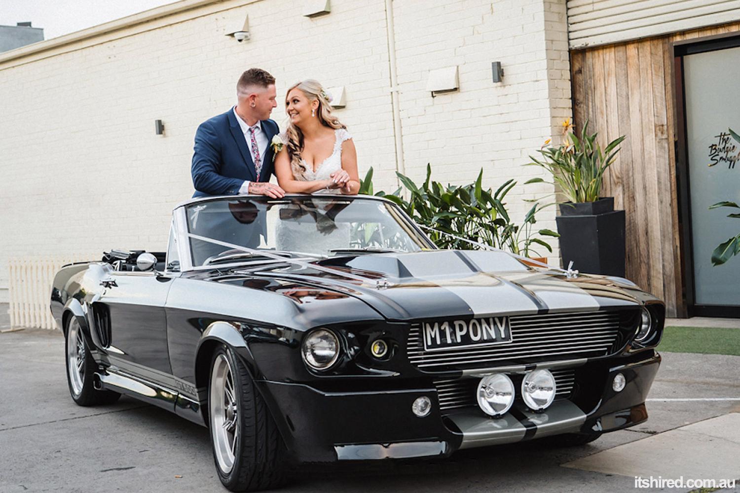 Ford Shelby Wedding Car Hire Melbourne Mustangs In Black