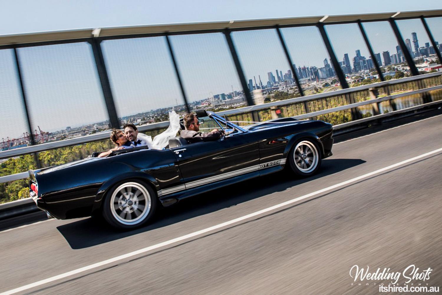 Ford Shelby Wedding Car Hire Melbourne Mustangs In Black