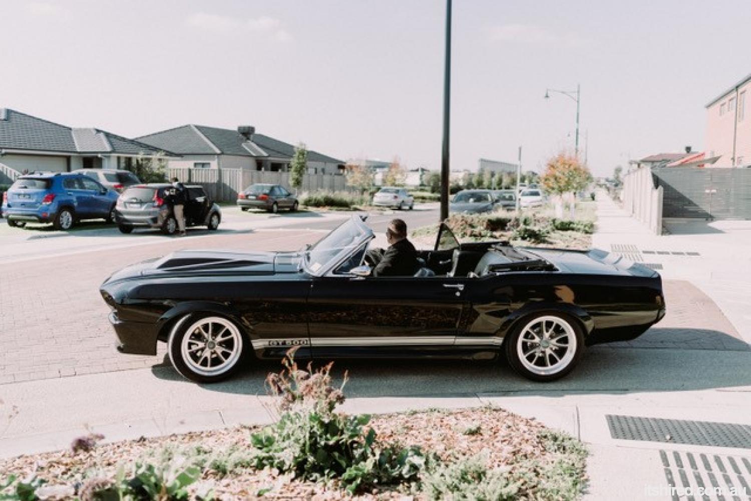 Ford Shelby Wedding Car Hire Melbourne Mustangs In Black