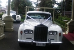 Rollston Limousines
