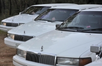 Ford Fairlane Wedding Car Hire Perth Austral Limousines