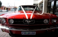 Ford Mustang Wedding Car Hire Hobart The Untouchables