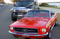Ford Mustang Wedding Car Hire Sydney Classic Cruisers