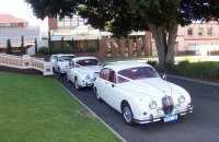Jaguar Mark II Wedding Car Hire Adelaide Jaguar Classic Hire