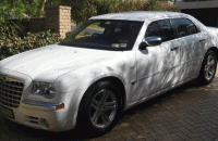 Chrysler 300c Wedding Car Hire Melbourne Diplomat Limousines