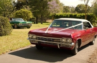 Chevrolet Impala Wedding Car Hire Adelaide Impressive Impalas