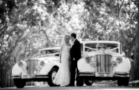 Jaguar Mark V Wedding Car Hire Adelaide Jaguars With Grace