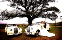Vanden Plas Princess Wedding Car Hire Sydney Princess Classic Cars