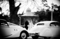 Jaguar Mark V Wedding Car Hire Adelaide Jaguars With Grace