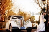 Jaguar Mark V Wedding Car Hire Adelaide Classic Jags