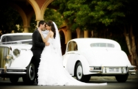 Jaguar Mark V Wedding Car Hire Adelaide Jaguars With Grace