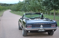 Ford Mustang Wedding Car Hire Melbourne Mustangs In Black