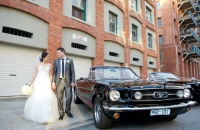 Ford Mustang Wedding Car Hire Melbourne Mustangs In Black
