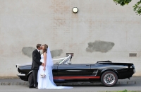 Ford Mustang Wedding Car Hire Melbourne Mustangs In Black
