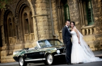 Ford Mustang Wedding Car Hire Melbourne Mustangs In Black