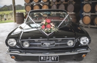 Ford Mustang Wedding Car Hire Melbourne Mustangs In Black