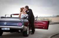 Ford Mustang Wedding Car Hire Melbourne Mustangs In Black