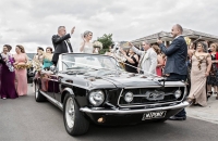 Ford Mustang Wedding Car Hire Melbourne Mustangs In Black