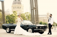 Ford Mustang Wedding Car Hire Melbourne Mustangs In Black