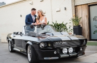 Ford Shelby Wedding Car Hire Melbourne Mustangs In Black