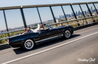 Ford Shelby Wedding Car Hire Melbourne Mustangs In Black