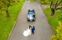 Ford Shelby Wedding Car Hire Melbourne Mustangs In Black