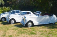 Bentley R Type Wedding Car Hire Sydney Silver Cloud Wedding Cars Sydney