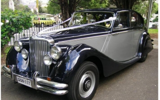 1951 Jaguar Mark IV