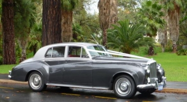 wedding-car-hire-Adelaide-Bentley-S-Type-Carrington-Wedding-Cars-image-1-3119.jpg