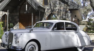 wedding-car-hire-Canberra-Jaguar-Mark-VII-A1-Class-Rentals-image-1-3017.jpg