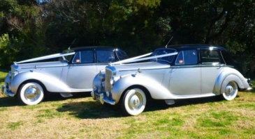 wedding-car-hire-Sydney-Bentley-Mark-VI-Silver-Cloud-Wedding-Cars-Sydney-image-1-2866.jpg