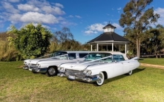 1959 Cadillac Series 75