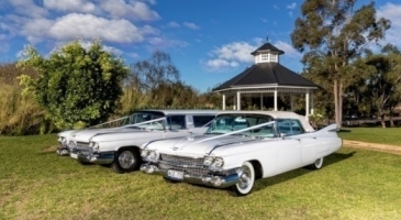 wedding-car-hire-Sydney-Cadillac-Series-75-Ace-American-Convertibles-image-1-3177.jpg
